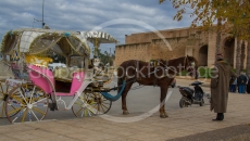 Carriage in Meknès (Morocco)