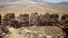 Stacks of wood in Yemen