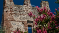 city wall with flowers