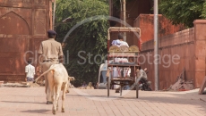 Street in Agra (India)
