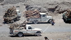 Wood On Cars Yemen