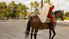 Guard on a horse outside the Mausoleum of Mohammed V